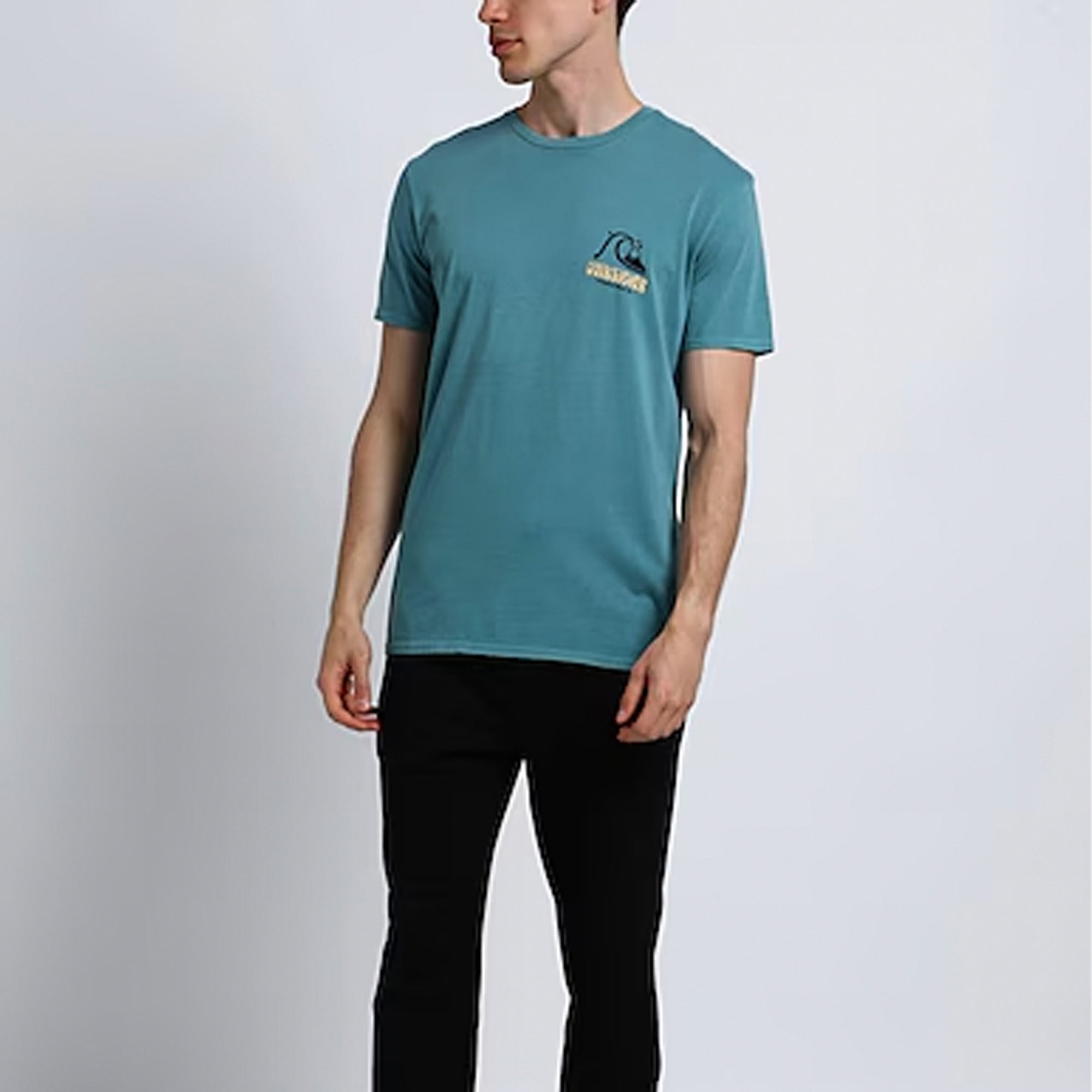 Quiksilver Arts In Palms Men's S/S T-Shirt