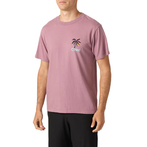 O'Neill OG Dusk Men's S/S T-Shirt - Grape Shake