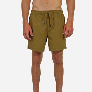 Lost Wings 17" Men's Beachshorts - Earth