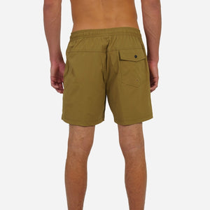 Lost Wings 17" Men's Beachshorts - Earth