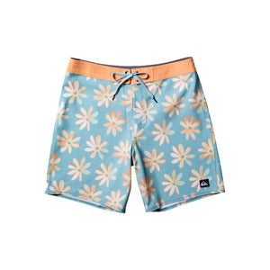 Quiksilver Surfsilk QS 69 19" Men's Boardshorts - Blue