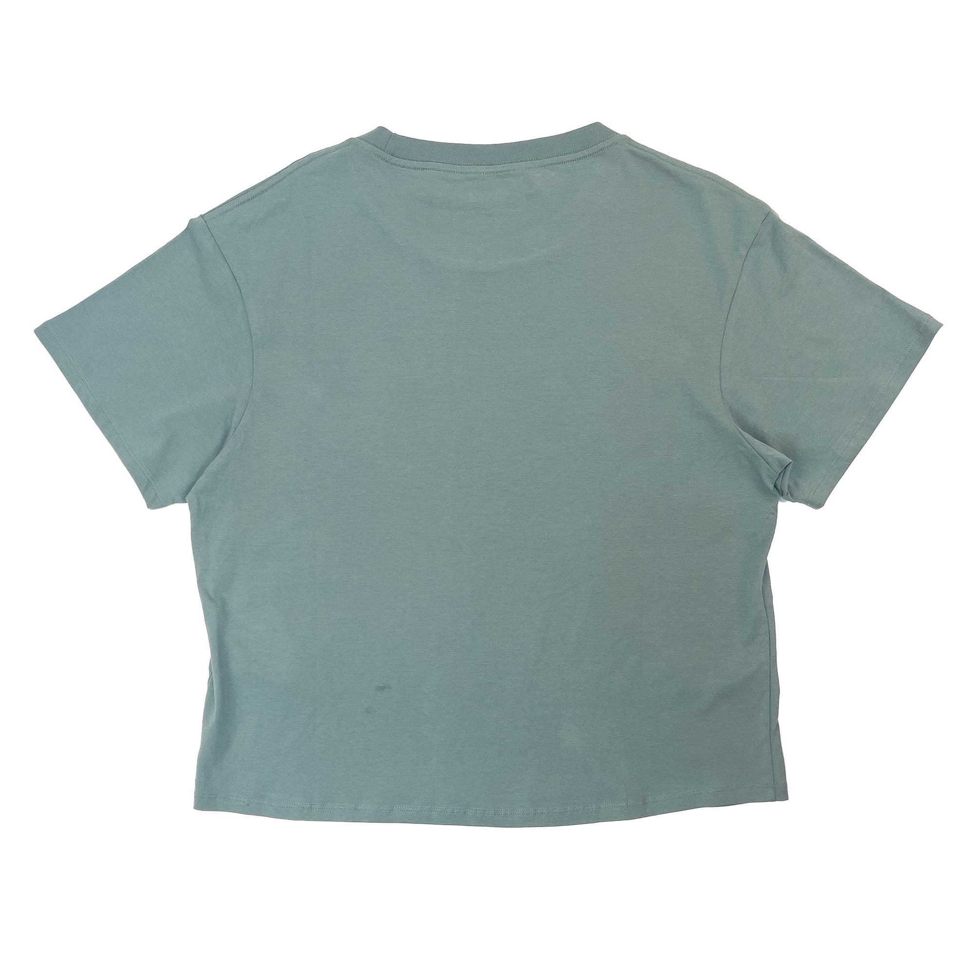 Channel Islands Waves Women's S/S T-Shirt - Blue