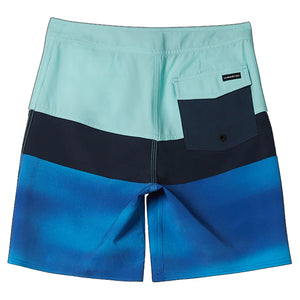 Quiksilver Everyday Panel 16" Youth Boys Boardshorts - Blue