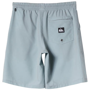 Quiksilver Taxer Amphibian 17" Youth Boy's Boardshorts