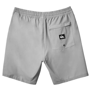 Quiksilver Taxer Amphibian 13" Youth Toddler Boardshorts