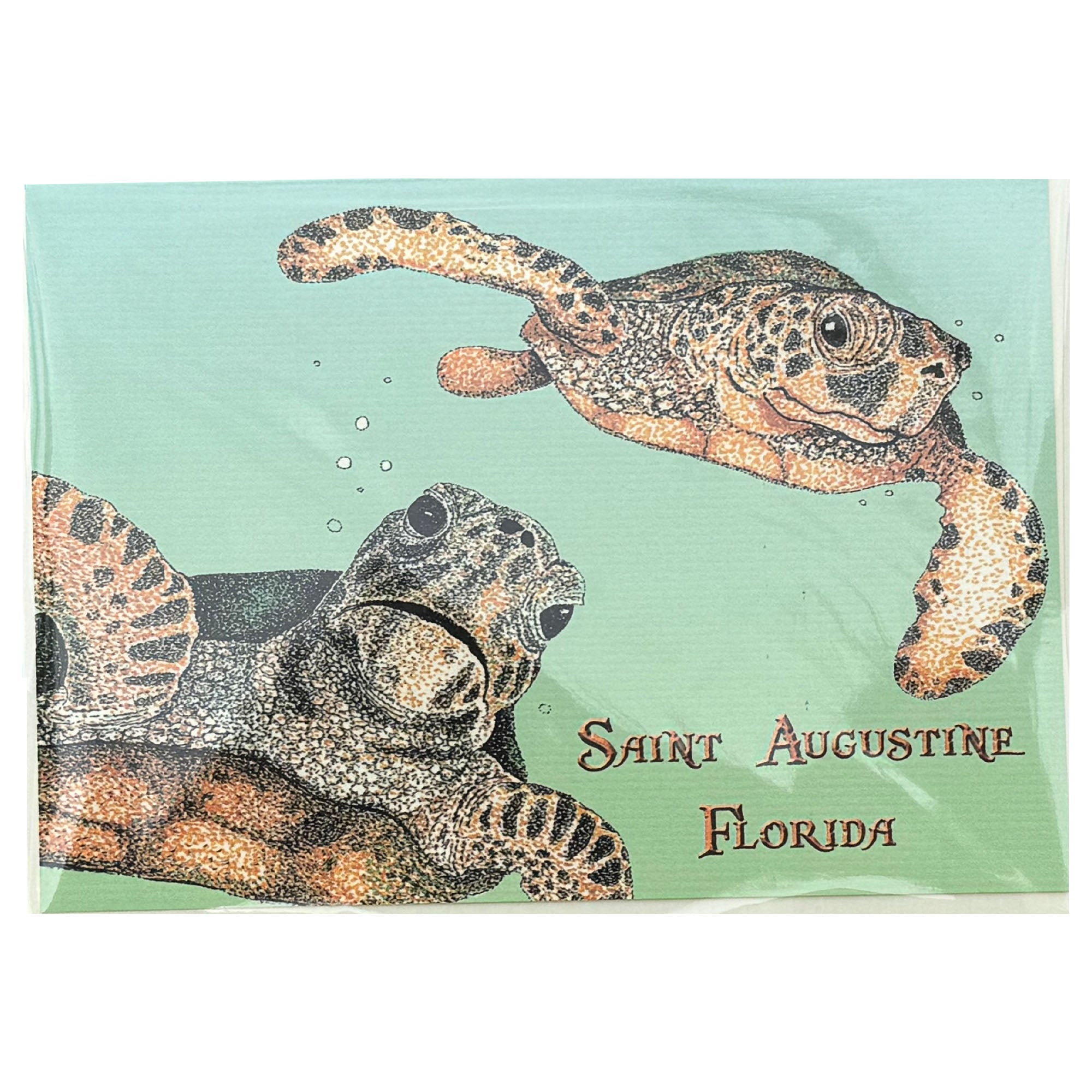 Lottie Dottie Art St. Augustine Sea Turtles Greeting Card