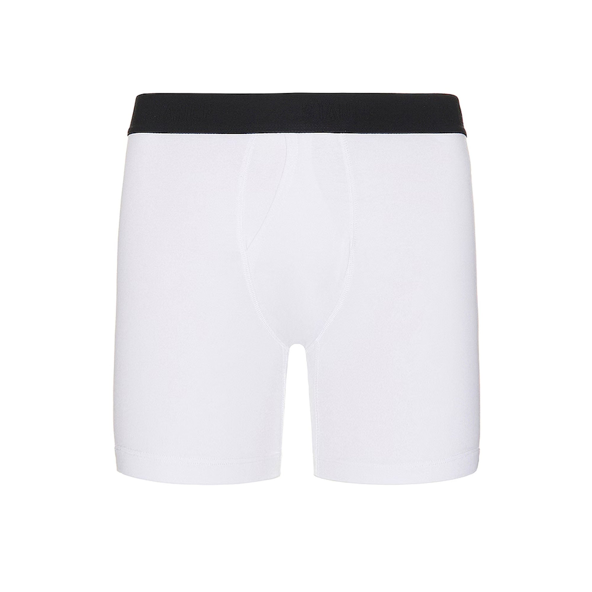 Stance Wholester Standard 6" Men's Boxer Briefs - White