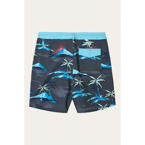 O'Neill Cabana Cruzer 19" Men's Boardshorts - Graphite